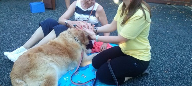 Terapia asistida con perros en San Juan de Alicante
