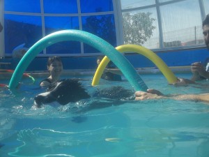 hidroterapia con perros