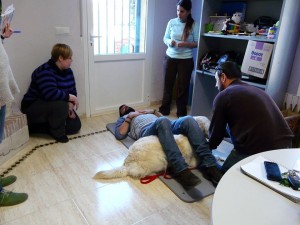 Curso de terapia con animales en Alicante