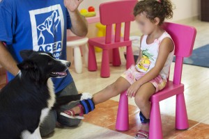 terapia física o fisioterapia asistida con perros