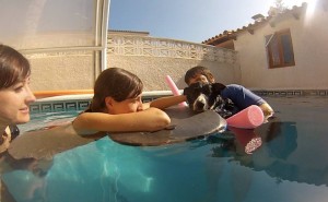 terapia con perros en Alicante