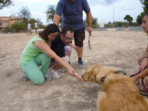 terapia con perros y sindrome de down Alicante